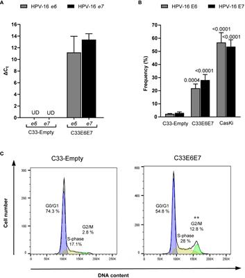 Expression of HPV-16 E6 and E7 oncoproteins alters Chlamydia trachomatis developmental cycle and induces increased levels of immune regulatory molecules